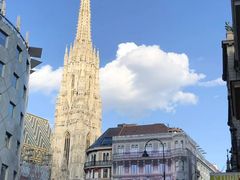 -斯蒂芬主教座堂(Stephansdom)