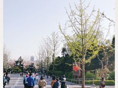 -迎泽公园