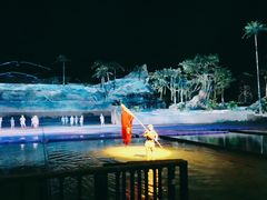 -三亚红色娘子军演艺公园景区