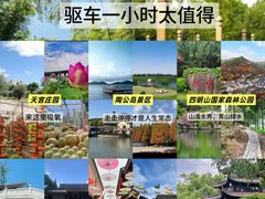 -宁波浙东大竹海景区