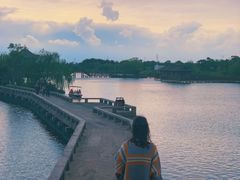 -杭州湾海上花田景区