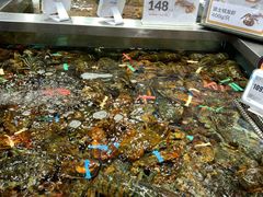 水产区-盒马鲜生(189购物中心店)
