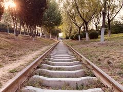 -永定河休闲森林公园