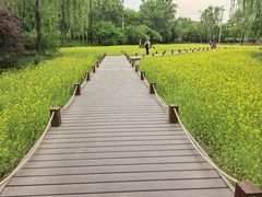 -北坞公园