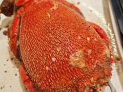 -加餐海鲜自助(宝龙一城店)