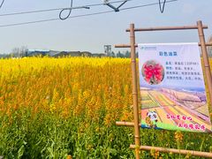 -中国天府农业博览园