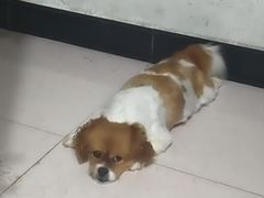 -南昌动物园