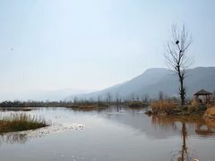 -西昌邛海湿地