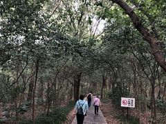 -紫金山索道-售票处