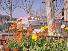 -天津五大道文化旅游区