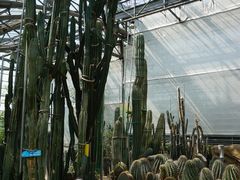 -南山植物园