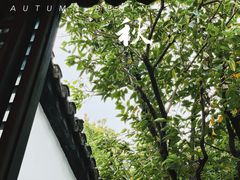 -上海方塔园