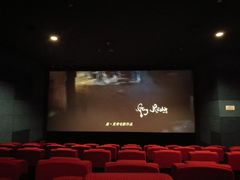 -太平洋影院(西村店)