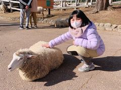 -神户市立六甲山牧场