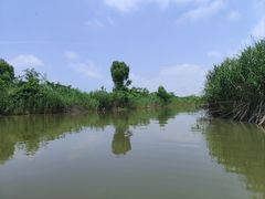 -洪湖生态旅游区