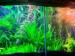 -上海海洋水族馆