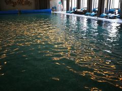 -上海崇明金茂凯悦酒店