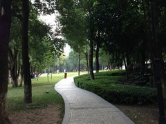 -重庆市江北嘴中央商务区中央公园