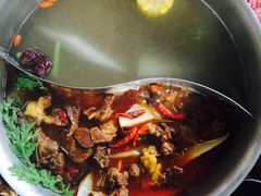 -手选潮汕鲜活牛肉火锅(二七广场店)