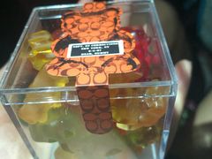 -COACH蔻驰(赛特奥特莱斯店)