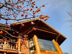 -九如山休闲旅游度假区