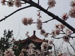 -白水寺森林公园