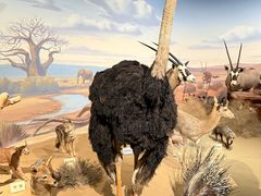 -陕西自然博物馆