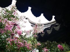 -艺圃