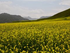 -扁都口生态休闲旅游区