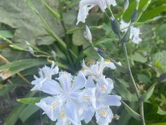 -木洞河街