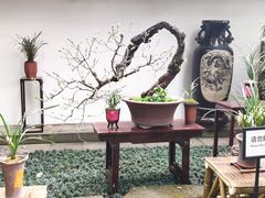 -成都杜甫草堂博物馆