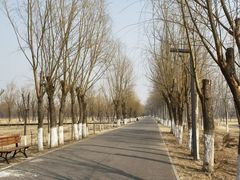 -东郊湿地公园