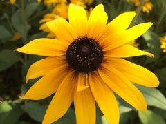 -吉林大学前卫校区南区-日新楼