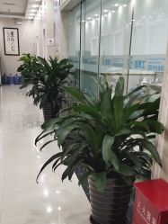点击看大图 -痘博士广州·全国连锁祛痘机构