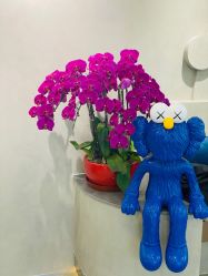 -变画·发型STUDIO