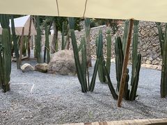 -MOJ coffee(瓯海泽雅水碓坑店)