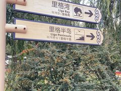 -丽江泸沽湖景区-里格半岛