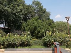 -元大都城垣遗址公园