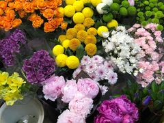-双季花艺园艺市场(浦东店)