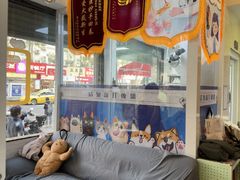 -芭比堂动物医院·心脏科·老年急重症·夜诊·吉雅分院