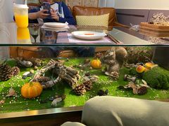 -初拾·花里餐厅(钜城华亿店)