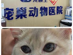 -宠颐生宠物医院·异宠猫科内科·诊疗中心宠巢店