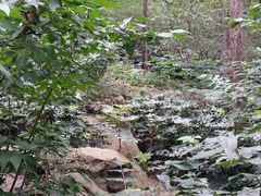 android_upload_pic-云龙山