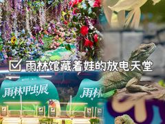 -正佳雨林生态植物园