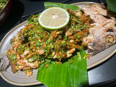 -Ameigo梅果·云贵川bistro(长宁来福士店)