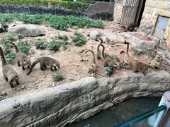 -东莞香市动物园