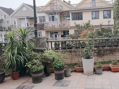 -先机泉水鸡汤(南山老君洞店)