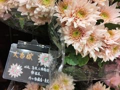 -优衣库(深圳万象天地旗舰店)