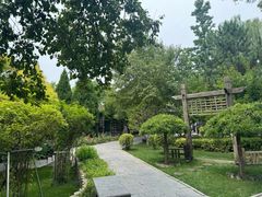 -碑林公园