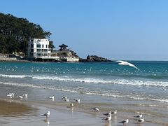 -海云台海滩